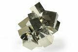 Shiny, Natural Pyrite Cube Cluster - Navajun, Spain #244998-3